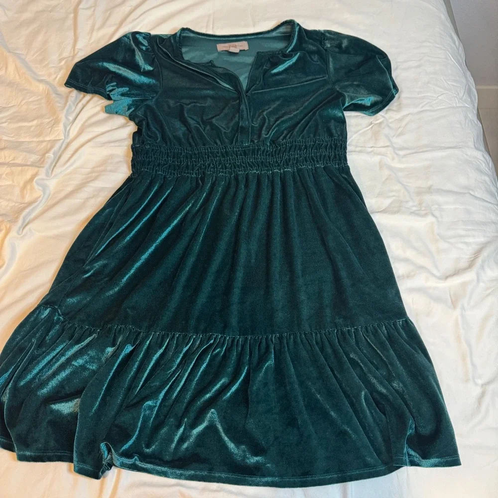 French Connection Green Velvet Holiday smocked Waist Dress Large Green